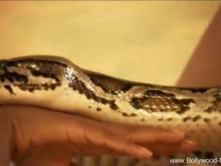 Bollywood și the enticing snake