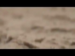 Publique cochon film agrafe fête à la nu plage